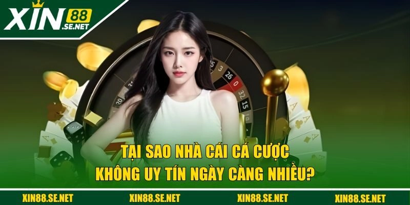 Tại sao nhà cái cá cược không uy tín ngày càng nhiều?